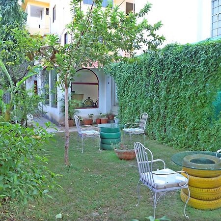 Hotel Tree Of Heaven Udaipur Exterior foto